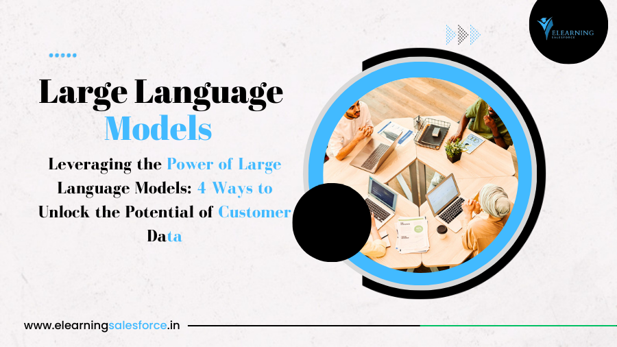 Read more about the article Leveraging the Power of Large Language Models: 4 Ways to Unlock the Potential of Customer Data