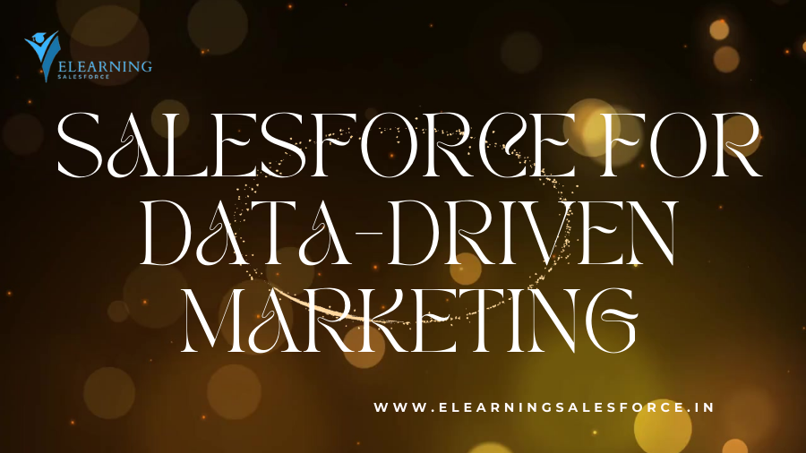 You are currently viewing Salesforce for Data-driven Marketing