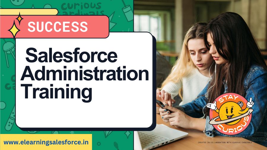 Read more about the article Beyond Basics: Advanced Strategies in Salesforce Administration Training