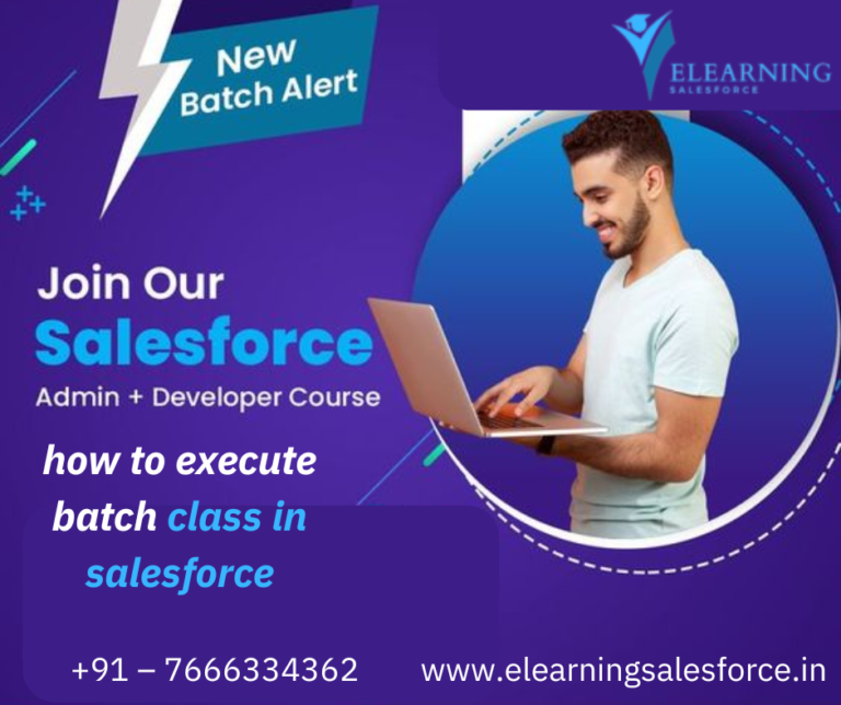 Read more about the article How to Execute a Batch Class in Salesforce: A Step-by-Step